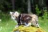 img_8632_small.jpg