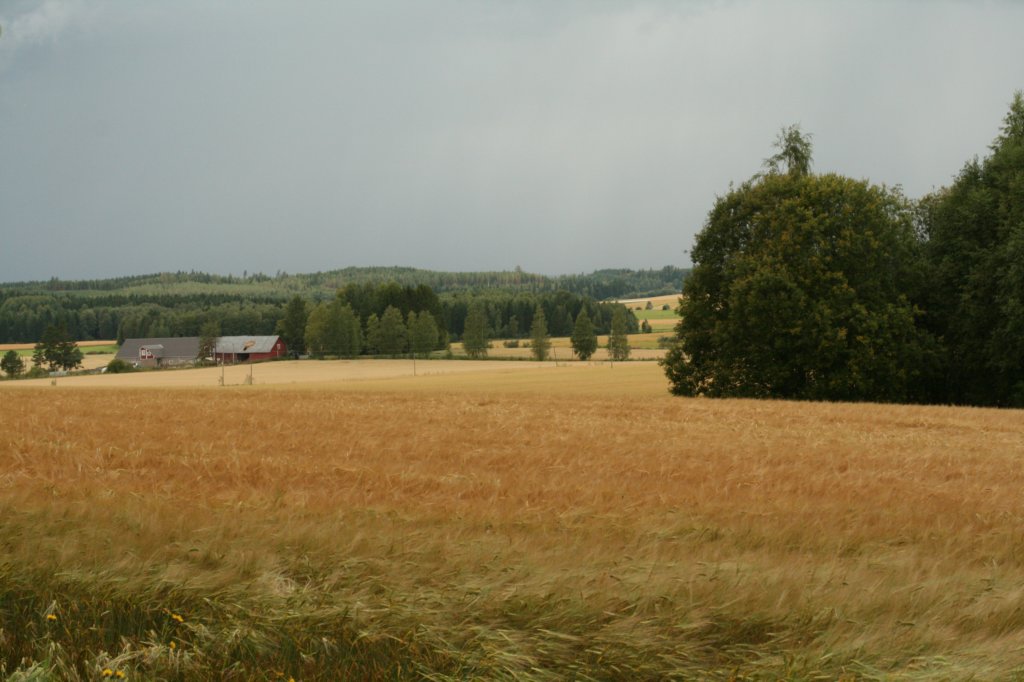 img_9347.jpg