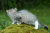 img_8667_small.jpg