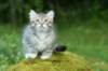 img_8691_small.jpg