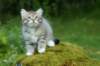 img_8700_small.jpg