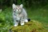 img_8702_small.jpg