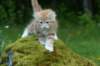 img_8557_small.jpg