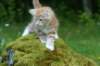 img_8558_small.jpg