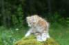 img_8559_small.jpg