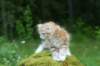 img_8560_small.jpg