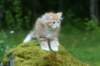 img_8562_small.jpg