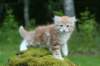 img_8566_small.jpg