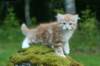 img_8568_small.jpg