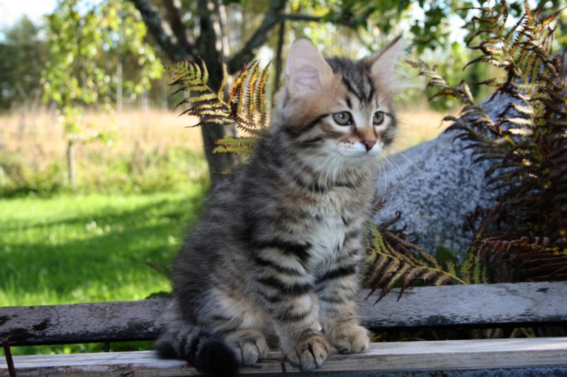 zoe9weeks23.jpg