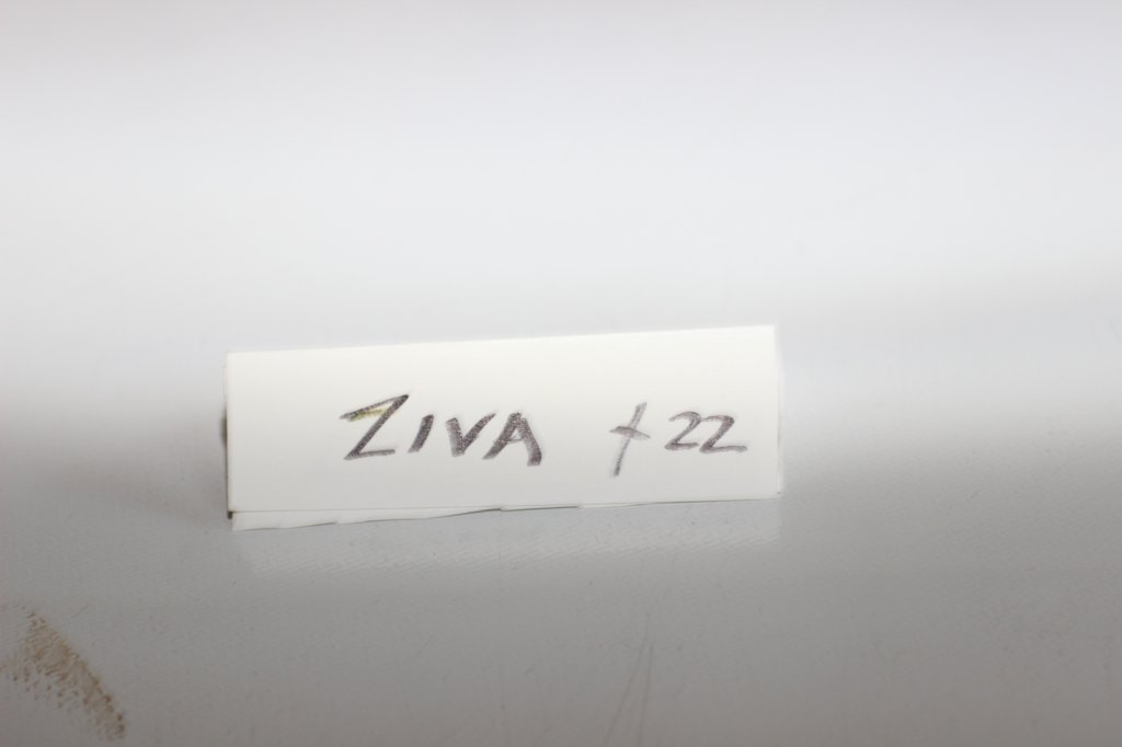 ziva12viikkoa29520251.jpg
